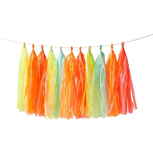 Neon Tassel Garland