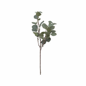 Silver Dollar Eucalyptus Stem